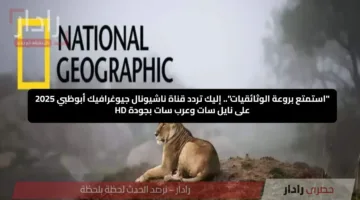 “استمتع بروعة الوثائقيات”.. إليك تردد قناة ناشيونال جيوغرافيك أبوظبي 2025 على نايل سات وعرب سات بجودة HD