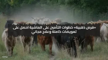 «فرص ذهبية» خطوات التأمين على الماشية احصل على تعويضات كاملة وعلاج مجاني