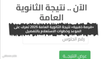 «فرصة ذهبية» نتيجة الثانوية العامة 2025 تعرف على الموعد وخطوات الاستعلام بالتفصيل