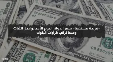 «فرصة مستقرة» سعر الدولار اليوم الأحد يواصل الثبات وسط ترقب قرارات البنوك