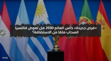 3 دول وطموح واحد.. كأس العالم 2030 هل تعوض فالنسيا انسحاب ملاجا من الاستضافة؟