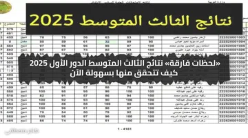 «لحظات فارقة» نتائج الثالث المتوسط الدور الأول 2025 كيف تتحقق منها بسهولة الآن