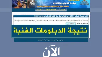 «استعلم من هنا».. رابط نتيجة الدبلومات الفنية 2025 الدور الاول الترم الثاني في مصر