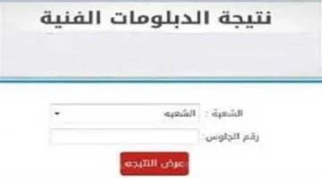 نتيجة الدبلومات الفنية 2025.. خطوة مفصلية في مستقبل طلاب الثالث الثانوي