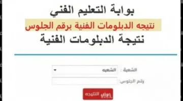 ماذا بعد الأوائل؟!  إعلان نتائج الدبلومات الفنية 2025.. اعتمدت رسمياً من الوزارة
