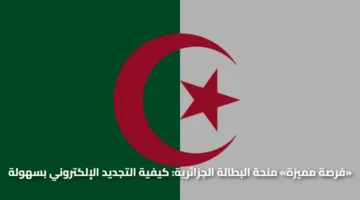 «فرصة مميزة» تجديد منحة البطالة الجزائرية 2025 عبر الموقع الرسمي الإلكتروني بسهولة