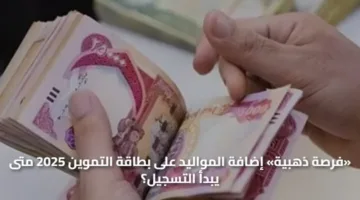 «فرصة ذهبية» إضافة المواليد على بطاقة التموين 2025 متى يبدأ التسجيل؟