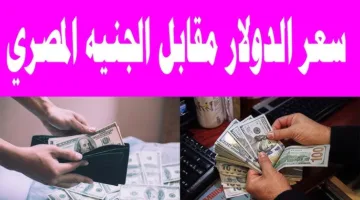 “هدوء تام” .. سعر الدولار اليوم 6-7-2025 مقابل الجنيه المصري في كافة البنوك