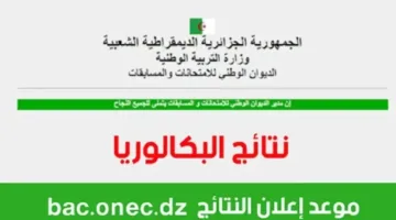 “رابط سريع” الاستعلام عن نتائج البكالوريا 2025 في الجزائر جميع الولايات عبر موقع bac.onec.dz
