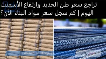 “إستقرار تام” .. سعر طن الحديد والأسمنت اليوم الخميس 10 يوليو 2025 في جميع الشركات المصرية