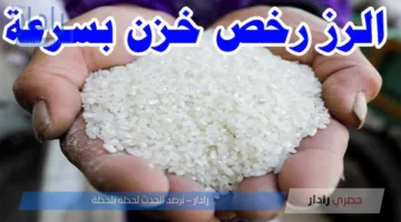 سعر طن الأرز الشعير اليوم الخميس 10 يوليو 2025 في كافة الأسواق لجميع الأنواع