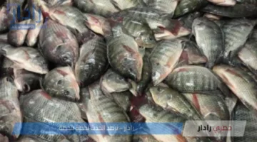 يا ترى البلطي بكام النهارده؟ .. اسعار السمك اليوم في سوق العبور لجميع الأنواع