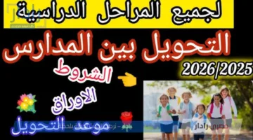 “إعرفها بالتفصيل” .. ضوابط تحويل المدارس بين المحافظات 2025 لجميع المراحل الدراسية
