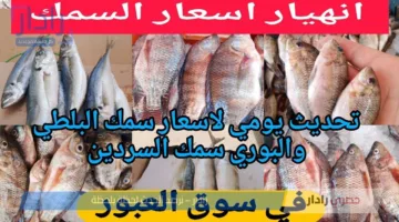 اسعار السمك اليوم الثلاثاء 8-7-2025 في سوق العبور بالكيلو .. تراجع ملحوظ للبلطي