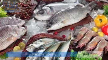 اسعار السمك اليوم في سوق العبور 8 يوليو 2025 .. تباين ملحوظ بالتحديثات الجديدة