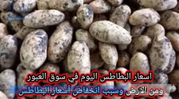 تراجع أسعار البطاطس اليوم في سوق العبور .. فرصة ذهبية للشراء الآن