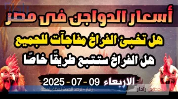 بورصة الدواجن اليوم الأربعاء 9 يوليو 2025 أسعار الفراخ البيضاء .. إنخفاض كبير يضرب الكيلو