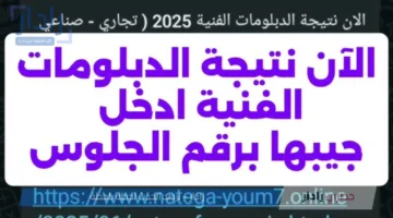 “هاتها قبل أي حد” .. رابط نتيجة الدبلومات الفنيه برقم الجلوس الدور الأول 2025