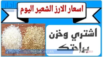 “بكل الأنواع” .. سعر طن الأرز الشعير الآن 2025 في كافة الأسواق المصرية