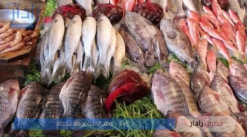 “تحديث جديد” .. اسعار السمك اليوم في سوق العبور تُسجل تباين ملحوظ لجميع الأنواع