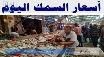 اسعار السمك اليوم الخميس 10 يوليو 2025 في سوق العبور .. تذبذب واضح لـ كافة الأنواع