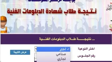 الأن .. رابط نتيجه الدبلومات الفنيه 2025 الدور الاول ” جميع التخصصات “برقم الجلوس nategafany.emis.gov.eg