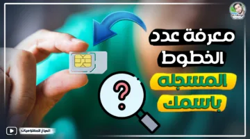 في خطوات بسيطة اعرف كل الأرقام المسجلة بأسمك بضغطة زر وبتطبيق بسيط