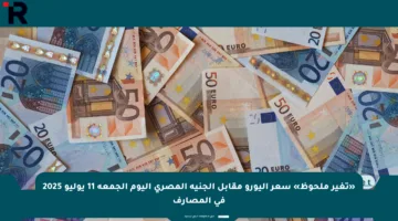 «تغير ملحوظ» سعر اليورو مقابل الجنيه المصري اليوم الجمعة 11 يوليو 2025 في المصارف