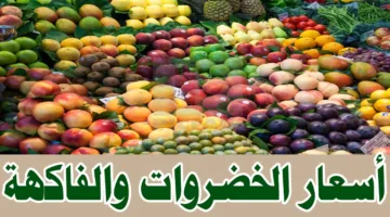 “بكام الطماطم النهاردة” … أسعار الخضروات والفواكه في مصر اليوم الأربعاء تواصل الاستقرار الصيفي الملحوظ