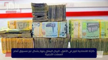 كارثة اقتصادية تلوح في الأفق.. الريال اليمني ينهار بشكل غير مسبوق أمام العملات الأجنبية