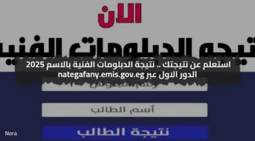 استعلم بالدرجات .. نتيجة الدبلومات الفنية بالاسم 2025 الدور الاول عبر nategafany.emis.gov.eg