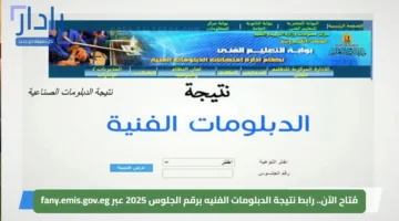 مُتاح الآن.. رابط نتيجة الدبلومات الفنيه برقم الجلوس 2025 عبر fany.emis.gov.eg