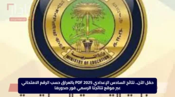 حمّل الآن.. نتائج السادس الإعدادي 2025 PDF بالعراق حسب الرقم الامتحاني عبر موقع نتائجنا الرسمي فور صدورها