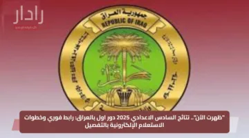 “ظهرت الآن”.. نتائج السادس الاعدادي 2025 دور اول بالعراق: رابط فوري وخطوات الاستعلام الإلكترونية بالتفصيل