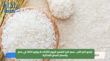 تراجع الارز الآن.. سعر الارز الشعير اليوم الثلاثاء 8 يوليو 2025 في مصر واسعار السلع الغذائية