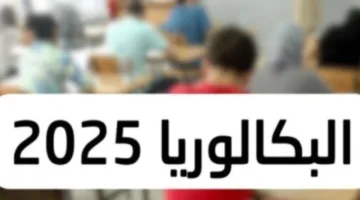 “مبروك النتيجة” رابط استخراج نتائج بكالوريا 2025 الجزائر من وزارة التربية الوطنية الجزائرية