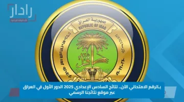 بـالرقم الامتحاني الآن.. نتائج السادس الإعدادي 2025 الدور الأول في العراق عبر موقع نتائجنا الرسمي