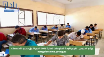 برقم الجلوس.. ظهور نتيجة الدبلومات الفنية 2025 الدور الاول جميع التخصصات عبر nategafany.emis.gov.eg