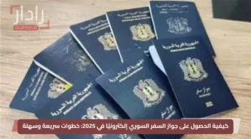 كيفية الحصول على جواز السفر السوري إلكترونيًا في 2025: خطوات سريعة وسهلة