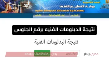 احسب درجاتك.. نتيجة الدبلومات الفنيه برقم الجلوس 2025 عبر nategafany.emis.gov.eg