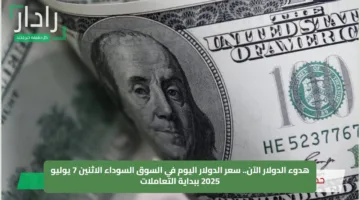 هدوء الدولار الآن.. سعر الدولار اليوم في السوق السوداء الاثنين 7 يوليو 2025 ببداية التعاملات