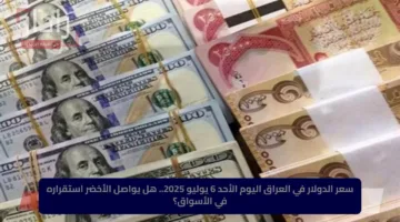 سعر الدولار في العراق اليوم الأحد 6 يوليو 2025.. هل يواصل الأخضر استقراره في الأسواق؟