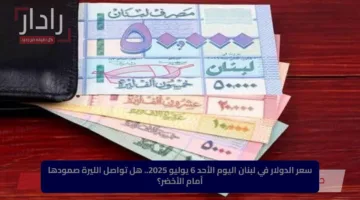 سعر الدولار في لبنان اليوم الأحد 6 يوليو 2025.. هل تواصل الليرة صمودها أمام الأخضر؟