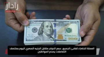 العملة الخضراء تفاجئ الجميع.. سعر الدولار مقابل الجنيه المصري اليوم بمنتصف التعاملات يصدم المواطنين