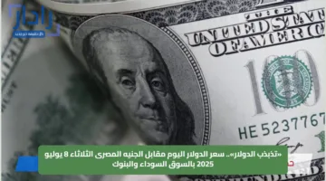 «تذبذب الدولار».. سعر الدولار اليوم مقابل الجنيه المصرى الثلاثاء 8 يوليو 2025 بالسوق السوداء والبنوك