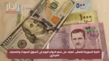 الليرة السورية تنتعش.. تعرف على سعر الدولار اليوم في السوق السوداء والمصرف المركزي