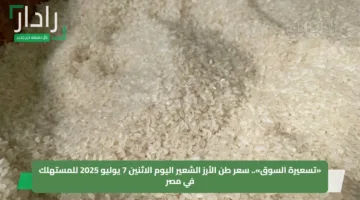 «تسعيرة السوق».. سعر طن الأرز الشعير اليوم الاثنين 7 يوليو 2025 للمستهلك في مصر