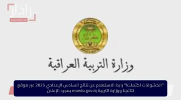 “الكشوفات اكتملت!” رابط الاستعلام عن نتائج السادس الإعدادي 2025 عبر موقع نتائجنا ووزارة التربية moedu.gov.iq بمجرد الإعلان