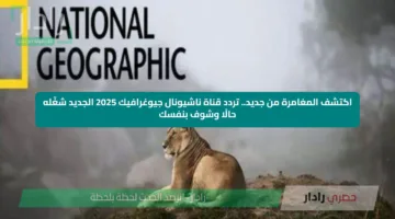 اكتشف المغامرة من جديد.. تردد قناة ناشيونال جيوغرافيك 2025 الجديد شغّله حالًا وشوف بنفسك