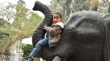 «انطلاقة ساحرة» موعد افتتاح حديقة الحيوان في مصر وتذاكرها بأرخص الأسعار